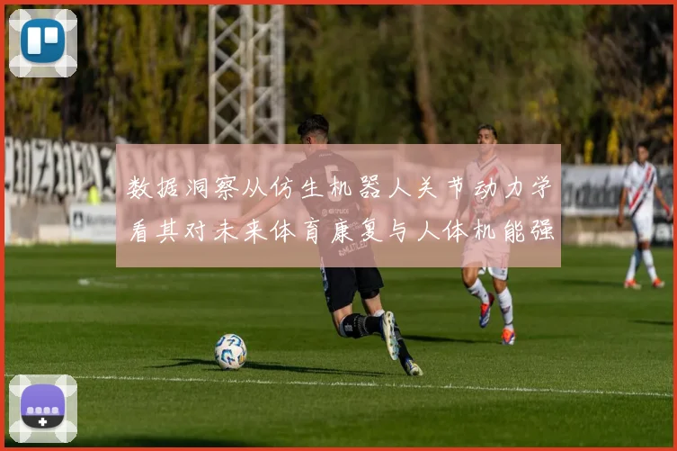 数据洞察从仿生机器人关节动力学看其对未来体育康复与人体机能强化的颠覆性影响