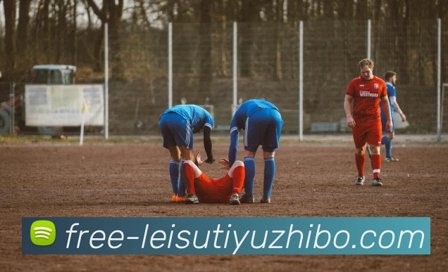 雷速体育直播平台生态图